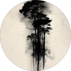 Jarek Ciarek Jarek Ciarek